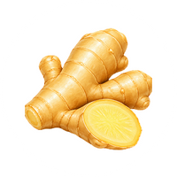 Ginger